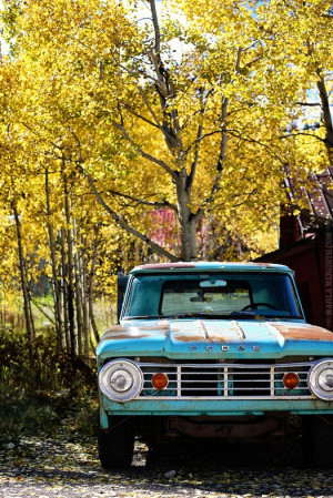Vintage Ford Truck | Rico, Colorado | FamilyFreshCooking.com