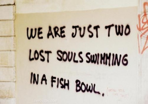 two lost souls quote song lyrics pink floyd; the words I always ...