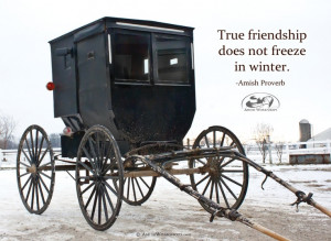 True friendship does not freeze in winter.