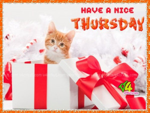 Have a Nice Thursday