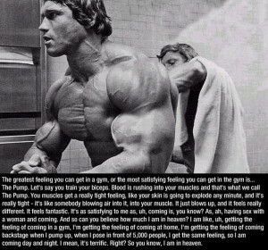25+ Famous Arnold Schwarzenegger Quotes