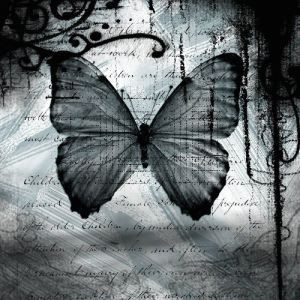 ... .deviantart.com/art/Love-is-like-a-butterfly-9817005
