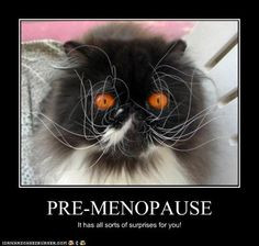 Menopause- SUPRISE More