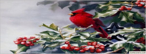 Face Book Cover Red Cardinal Bird Lovely