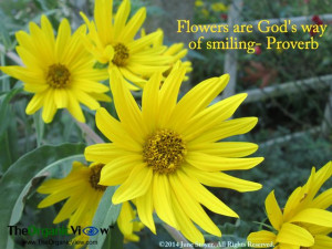 Flowers are God's way of smiling- Proverb