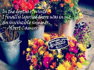 25 Famous Cool Summer Quotes