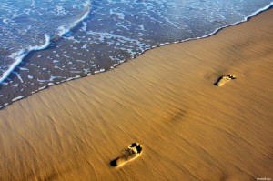 Chicane – Don\’t give up I love this Song by Chicane, this was my ...