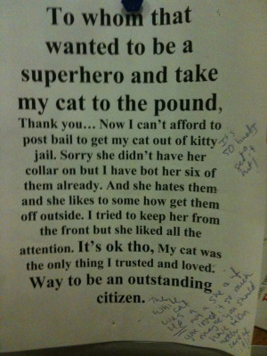 Now I can't afford to post bail to get my cat out of kitty jail. Sorry ...