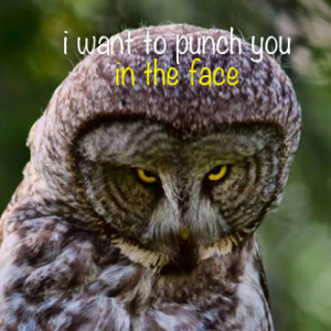 want-to-punch-you-in-the-face.jpg