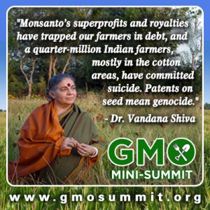 Tools for promoting the GMO Mini-Summit