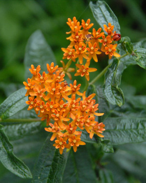 Leave a Reply Cancel reply