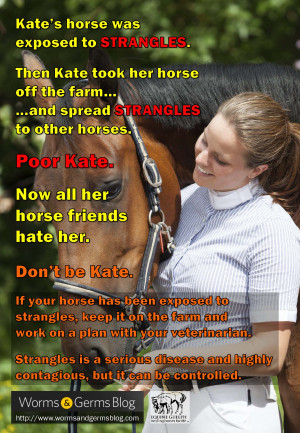 Strangles “Poor Kate” Poster