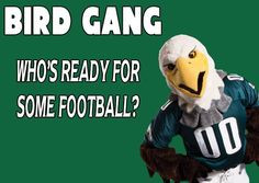 Bird Gang!! More