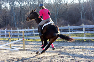 Love My Horse Quotes I love my horse,