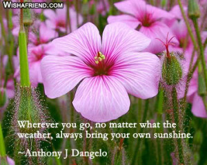 ... Always Bring Your Own Sunshine ” - Anthony J Dangelo ~ Nature Quote