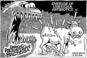 Antibiotic Resistance Cartoon
