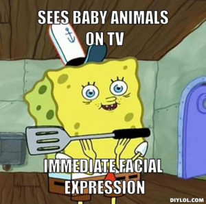 Spongebob Face Expressions Resized_spongebob-face-meme-