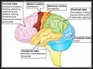 Life After Trauma & Brain Injury?