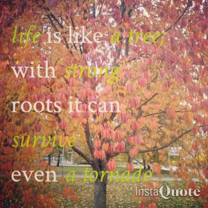 Strong roots #quote