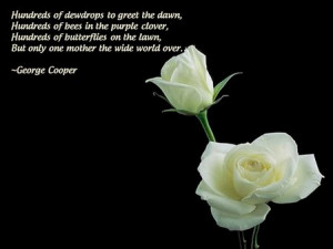 White Rose Quotes
