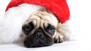 Cute Christmas Dog saying Happy Christmas to You