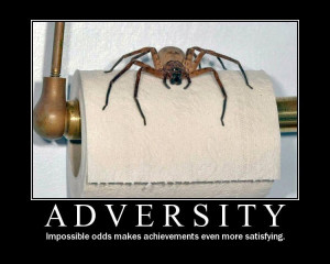 Adversity Only Provides A Challenge