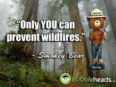 Smokey Bear says 