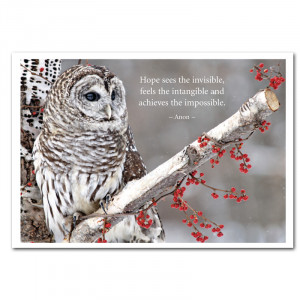 Owl on branch wildlife cover with Anon Quote: Hope sees the invisible ...