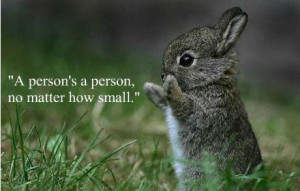 18 inspirational quotes from cute baby animals