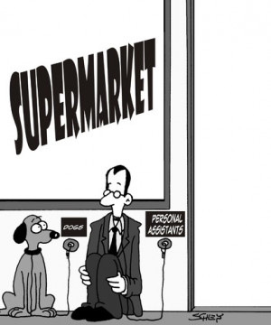 Personal Assistant...