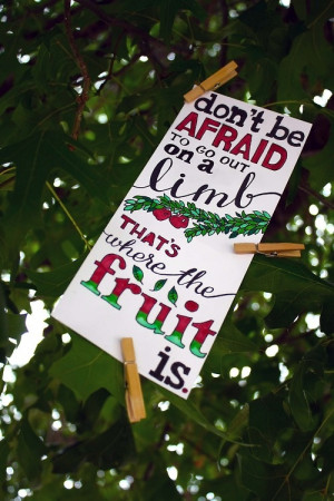 Don't be afraid to go out on a limb; that's where the fruit is.