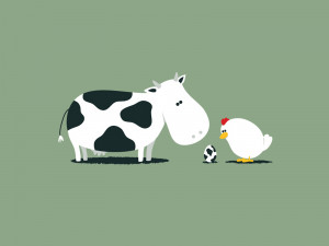 funny wallpaper pics quotes photos cartoons cow chicken 1600x1200