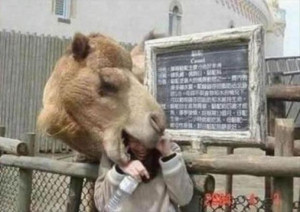 having-a-bad-day-funny-pictures-6