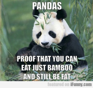 Pandas, Proof That You Can Eat Just Bamboo...