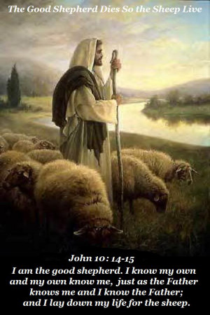 THE LORD IS OUR GOOD SHEPHERD: The Lord Lead Us and Guide Us ...