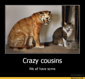 cousin quotes funny 6 best cousin quotes funny 7 best cousin quotes ...