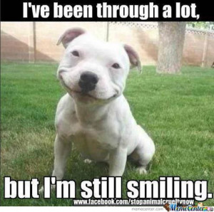 Smiling Dog Is Smiling