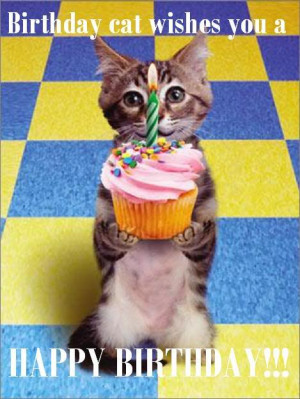 cute happy birthday cat images cute happy birthday cat images