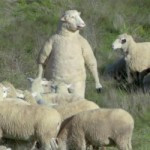 Break Out Of The Herd