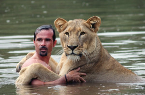 lion and man take a swim 1 Man Makes Love To Lioness