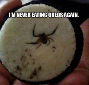 Funny Pictures to Make You Laugh So Hard You’ll Cry