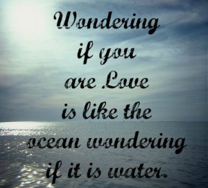 Wondering If You Are Love Is Like The Ocean Wondering If It Is Water