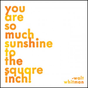You are my sunshine quote