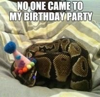 It's about parties... and snakes.