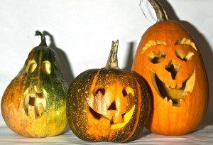 ... Free Wallpapers Backgrounds - Funny Pumpkin Pictures Wallpapers quotes