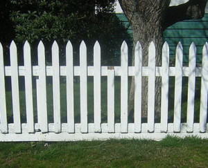 Teaching Fences