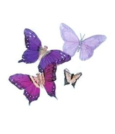 ... dealing with lupus when it comes to thinking, memory, and behavior