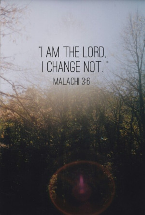 Pinned by Stone Lily