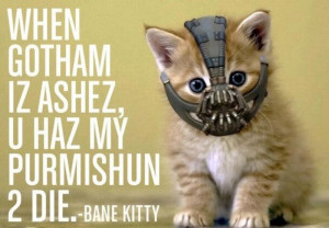 The kitten that Gotham deserves