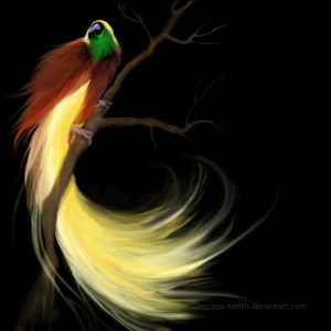 bird_of_paradise_by_sleepless_katith-d2znaa9.png